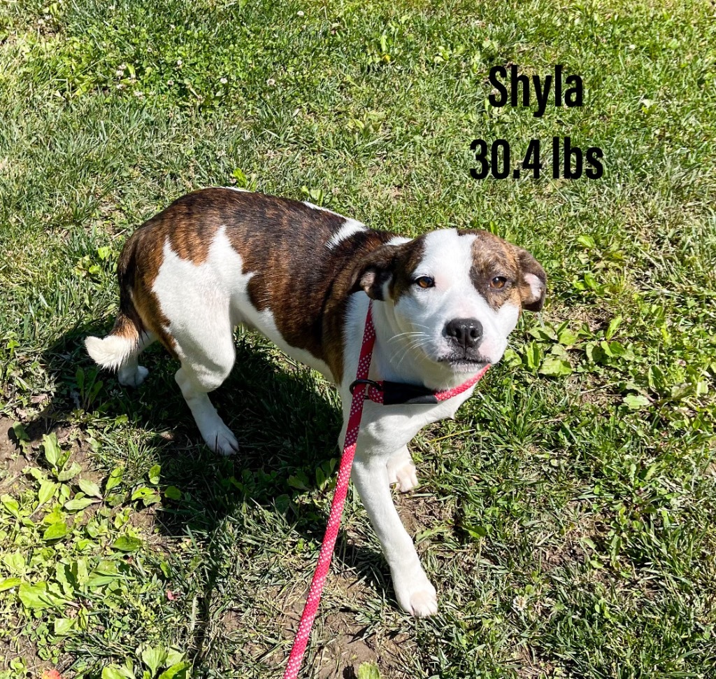 Shyla