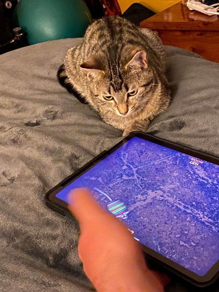 Deny 1