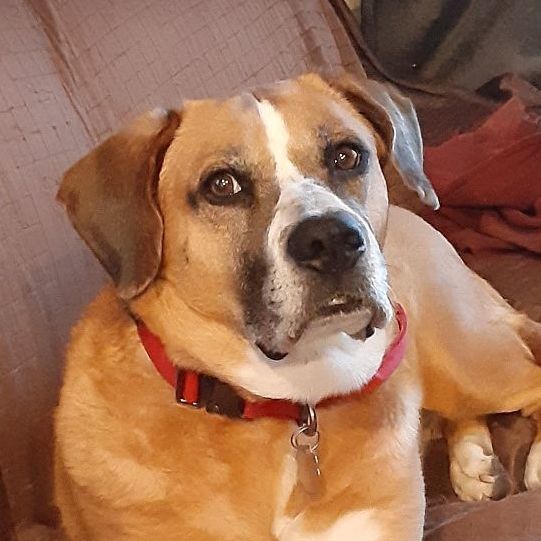 Nora