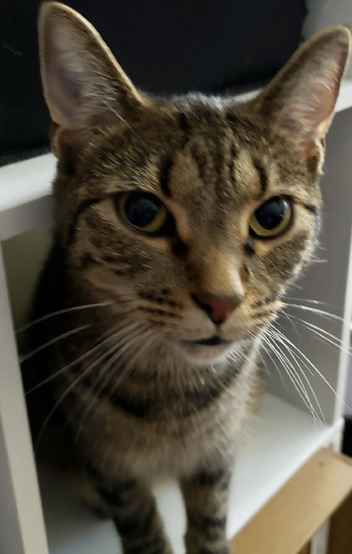 Spooky Boy 2