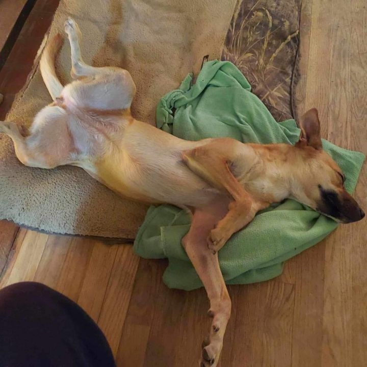 Addy 2