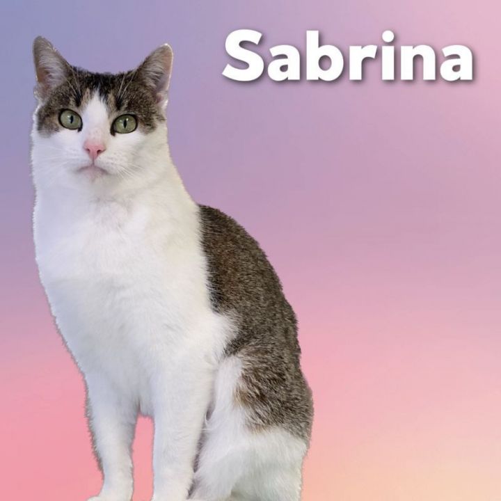 Sabrina 2