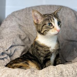 Bailey is a sweet and special girl who has been patiently waiting in foster care