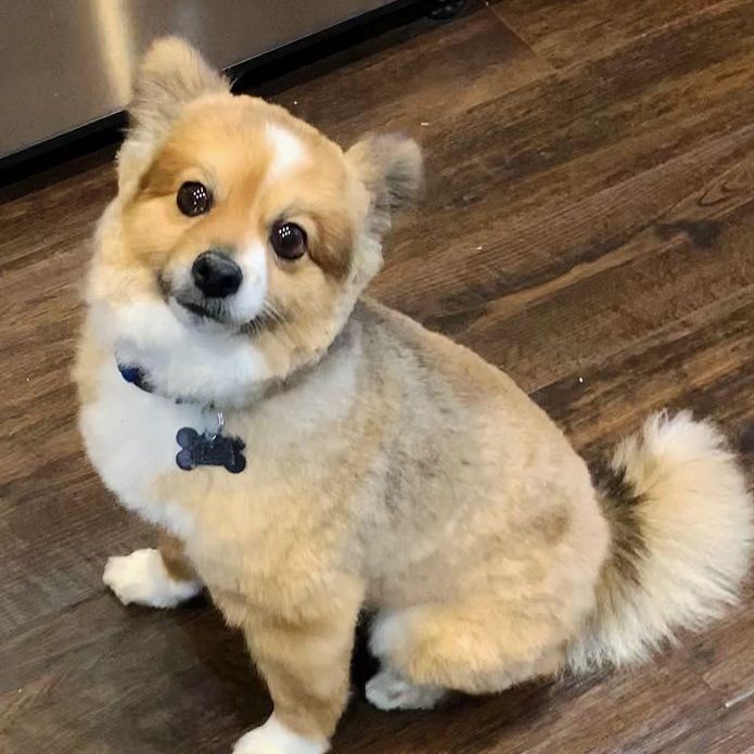 Obie 2