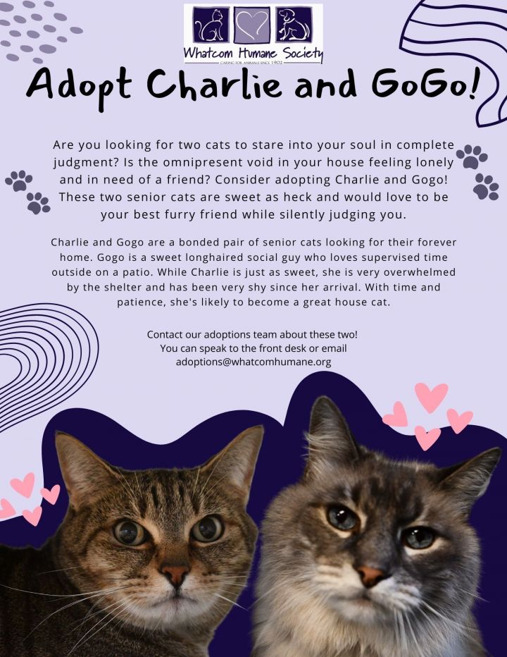 Charlie and GoGo 2