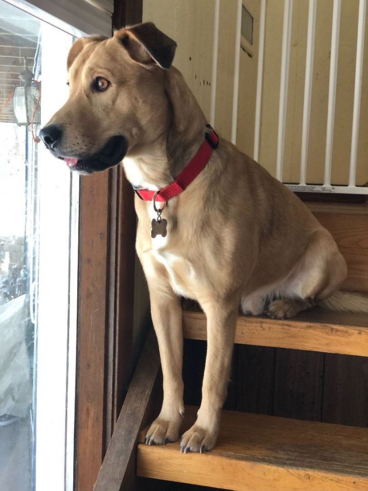 Barnaby 2
