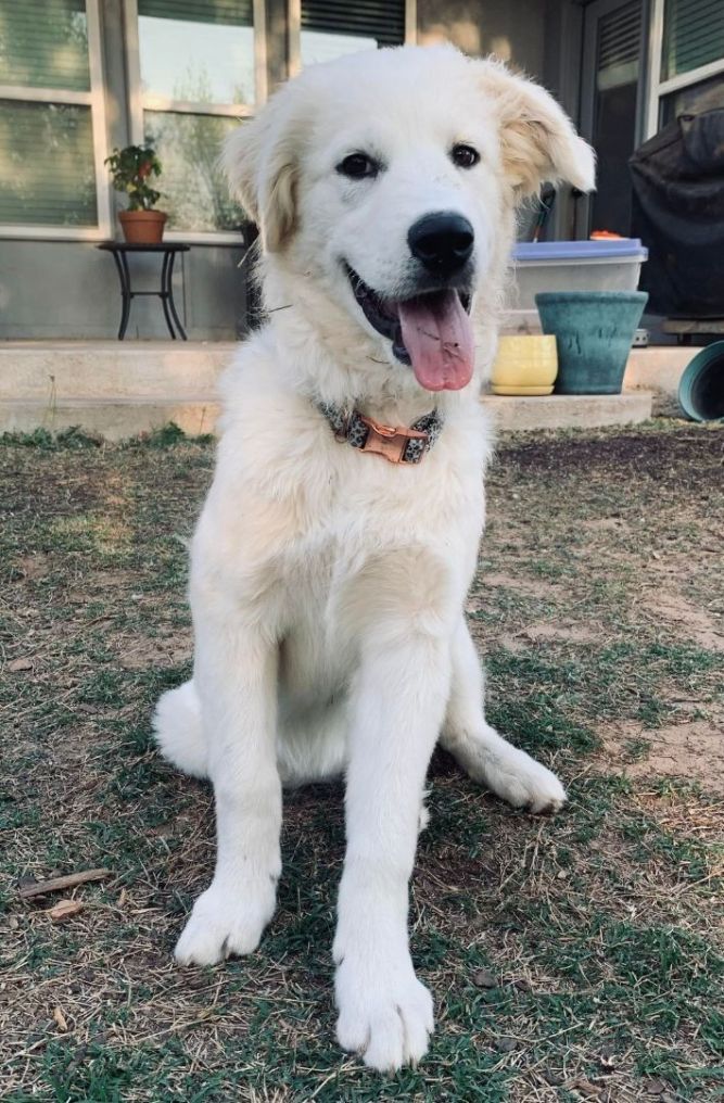 Winnie's Story