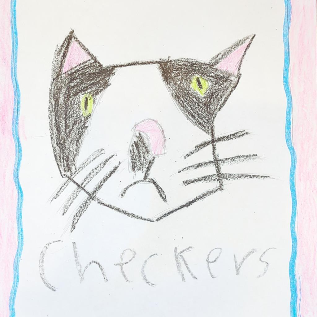 Checkers, an adoptable Domestic Short Hair in Kanab, UT, 84741 | Photo Image 2