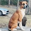 Baxter