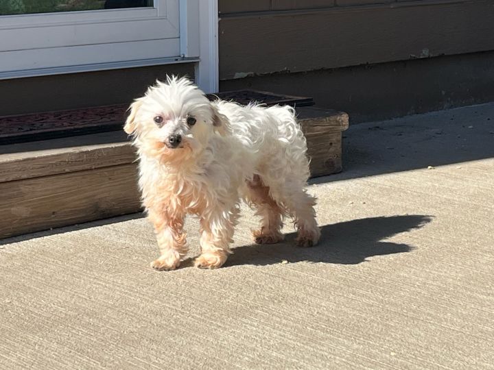 Morty (bonded with Max) 2