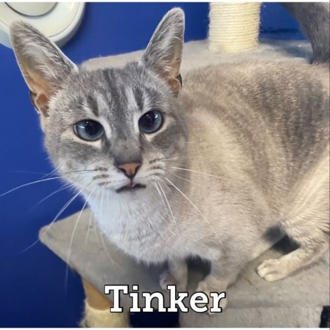 Tinker