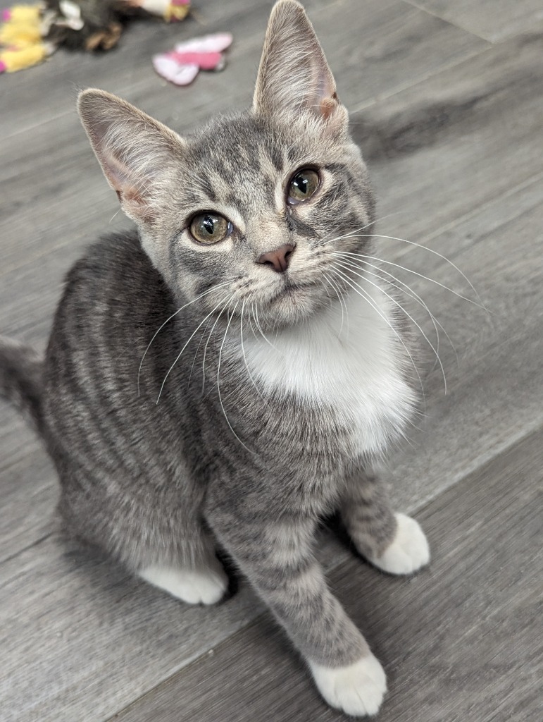 Luna