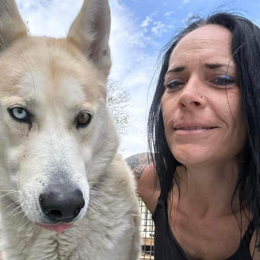 Gunner, an adoptable Husky, Mixed Breed in Eufaula, OK, 74432 | Photo Image 2