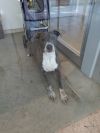 Leela photo 1