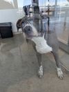 Leela photo 2