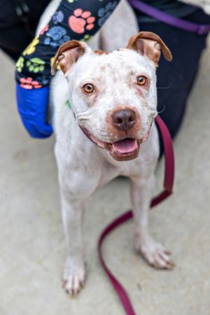 Esme is petite and sweet with a smile thats hard to beat However youre not going to see that smi