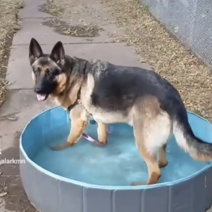 Duke