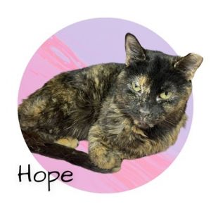 Hope