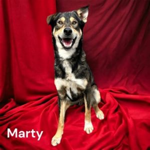 Marty