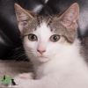 Mookie Mae photo 1
