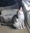 Mookie Mae photo 2