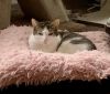 Mookie Mae photo 3