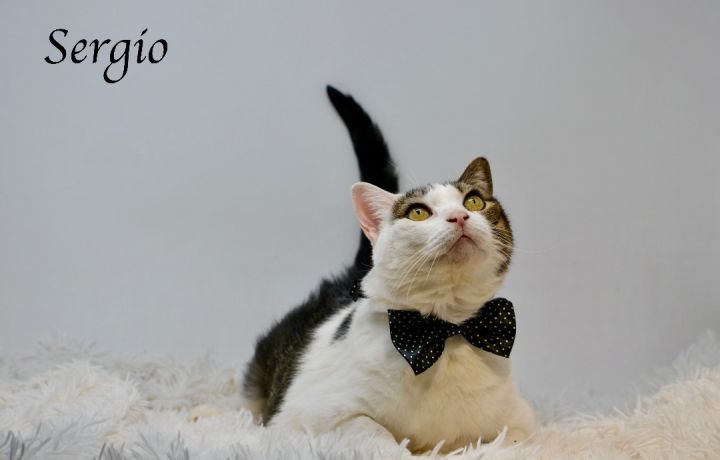 Sergio 2