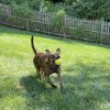Jolene photo 3