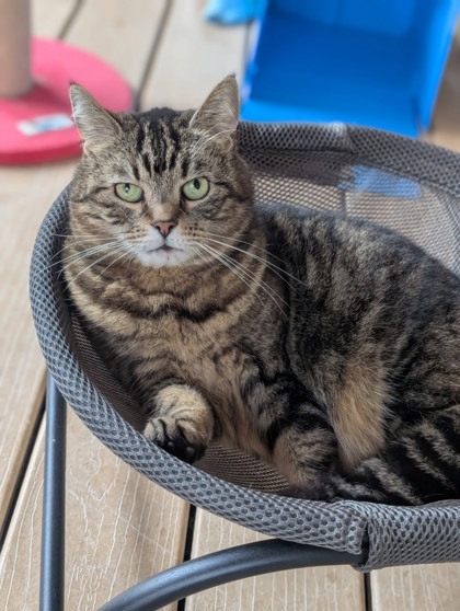 Kit Kat