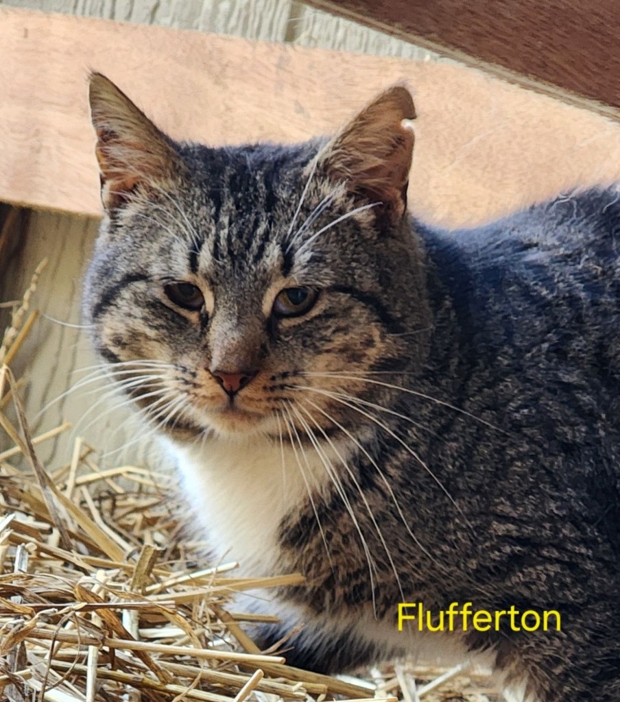 Flufferton