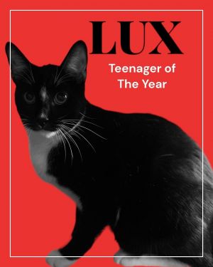 Lux Tuxedo Cat