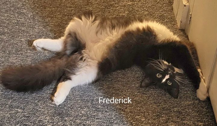 Frederick 2