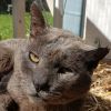 Smokey photo 1