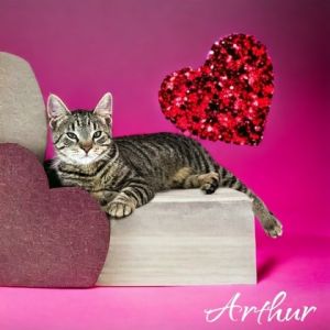Arthur