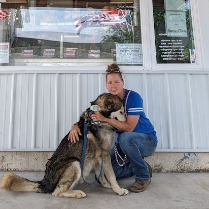 Husky german store shepherd malamute mix