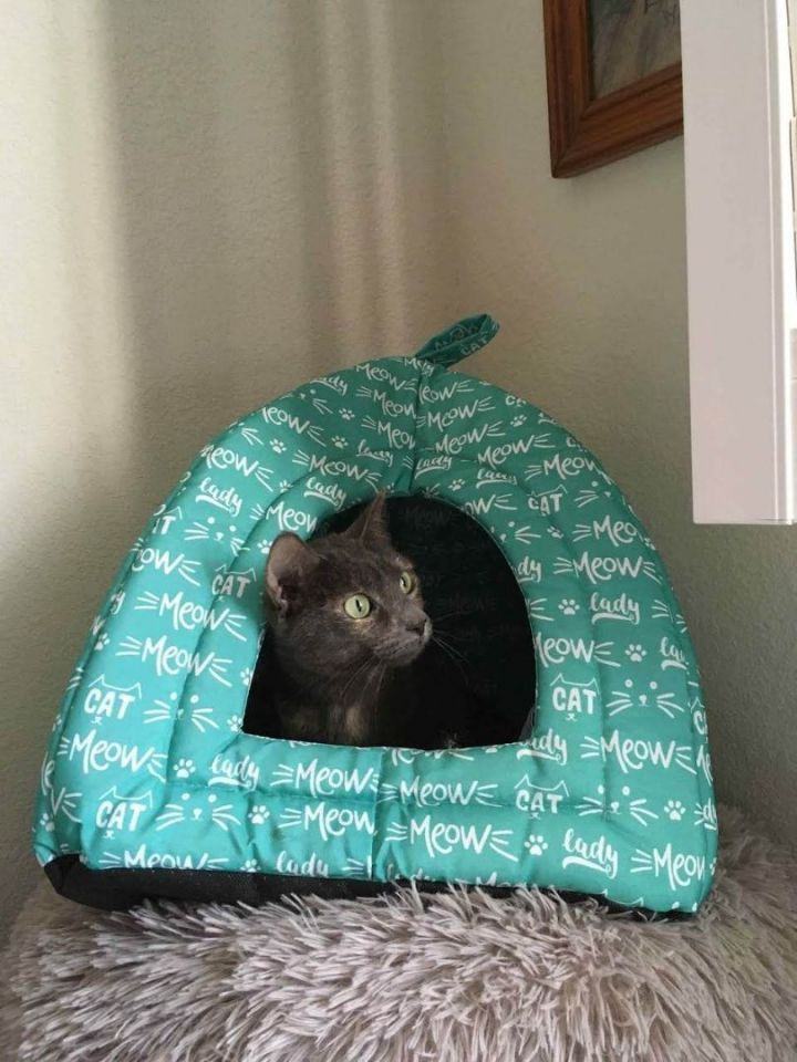 Martini shop cat lounger