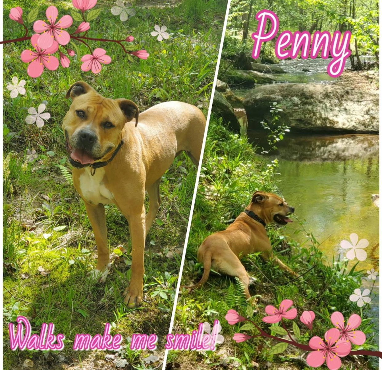 Penny