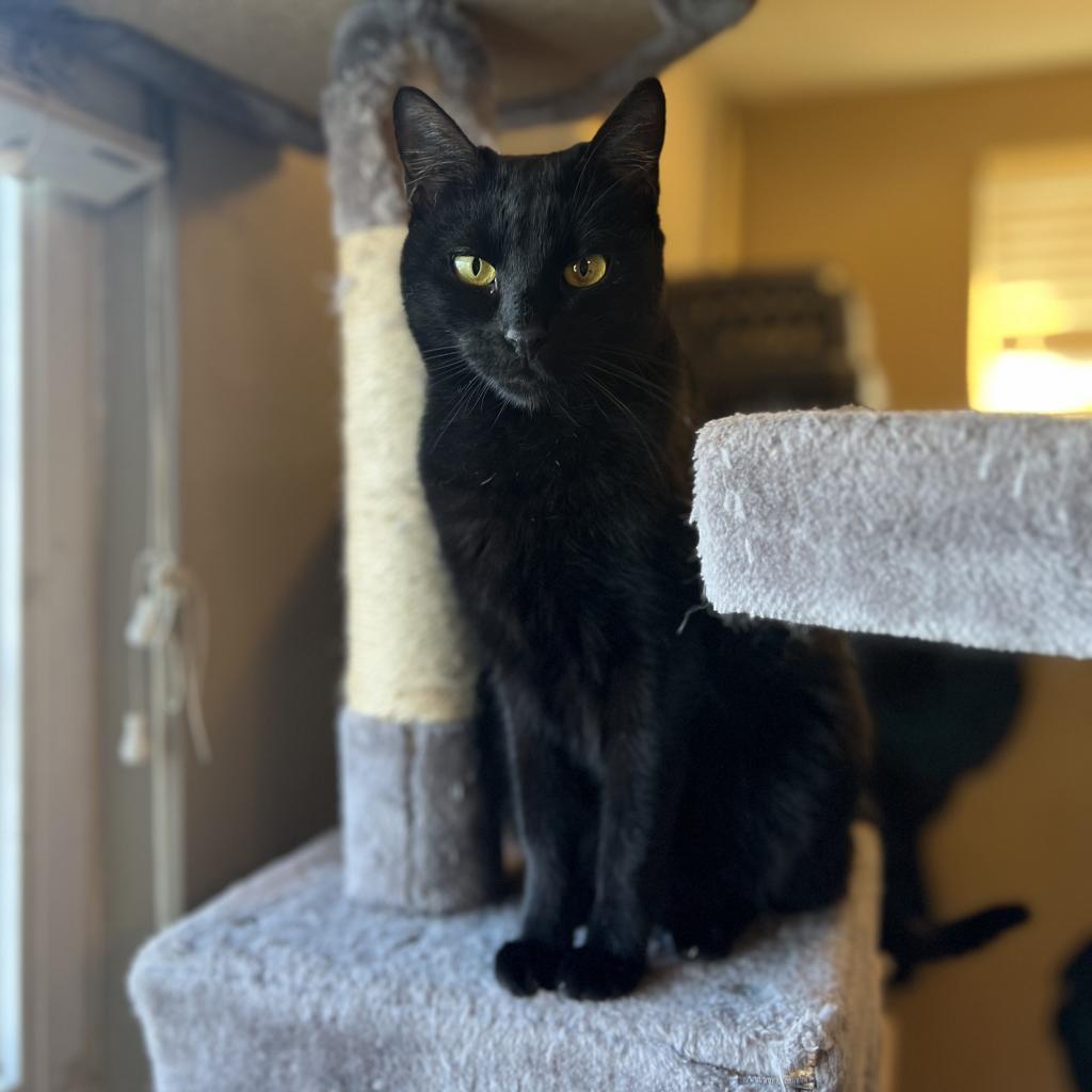Mia