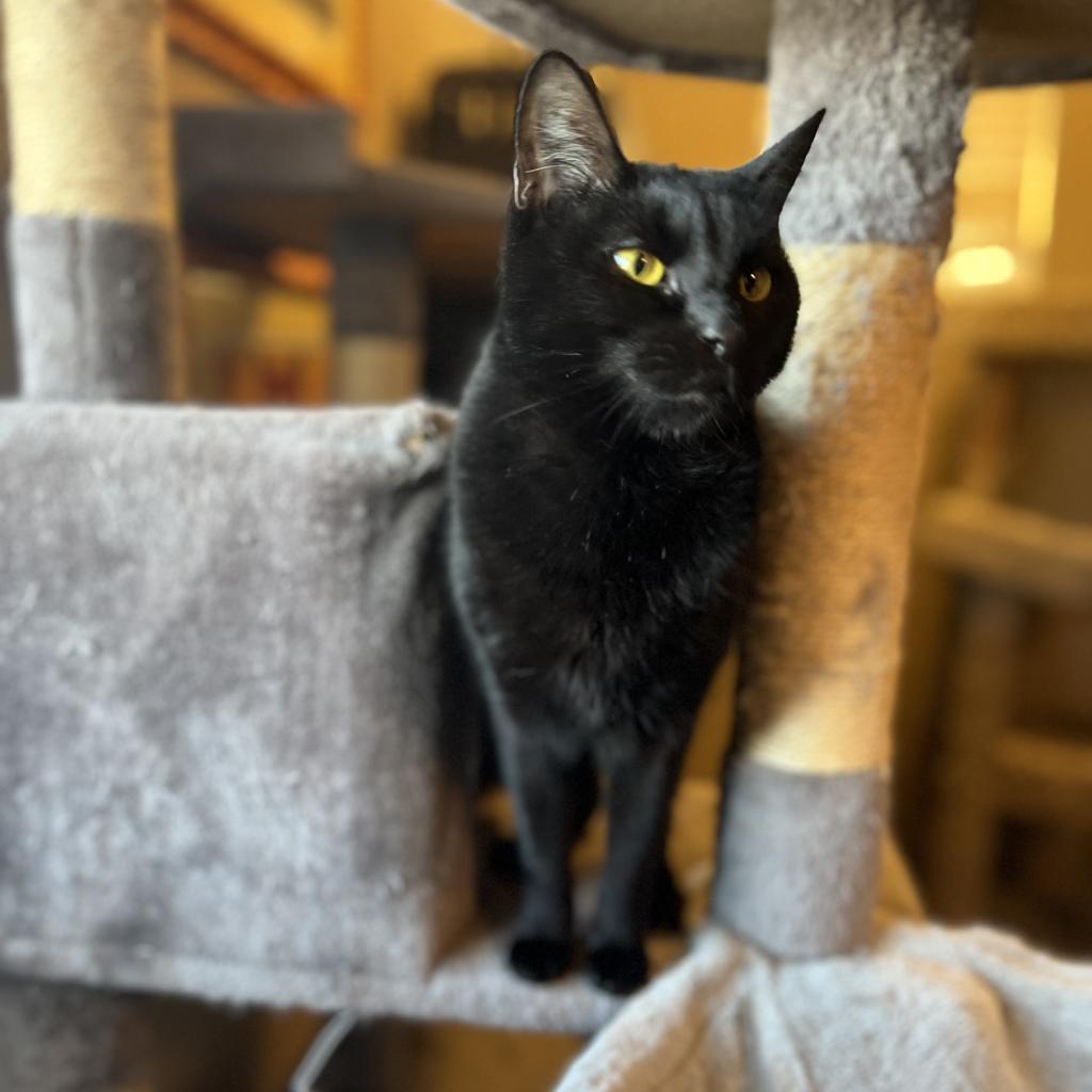 Mia