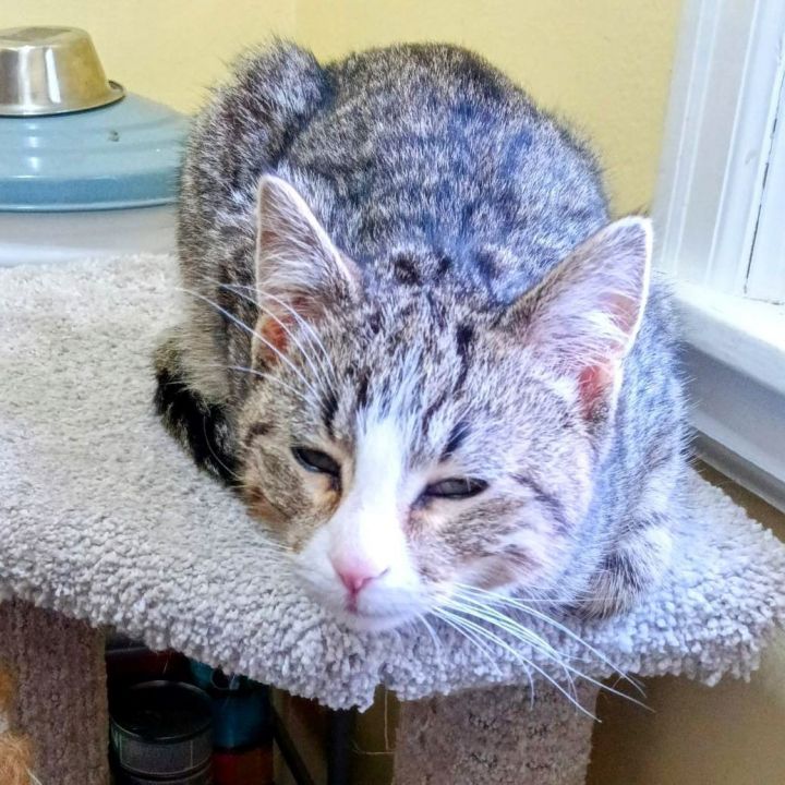 Ground Control - Pending Adoption 3