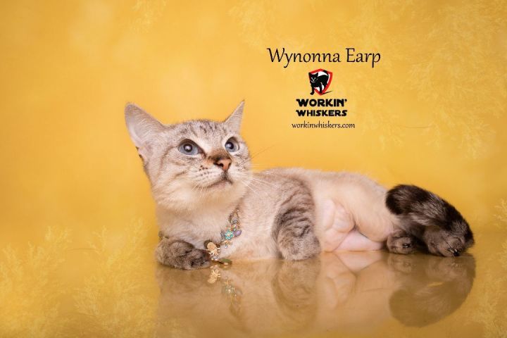 WYNONNA EARP  1