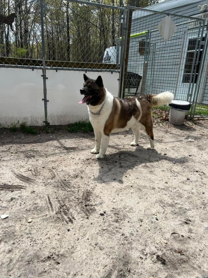 Tia  3