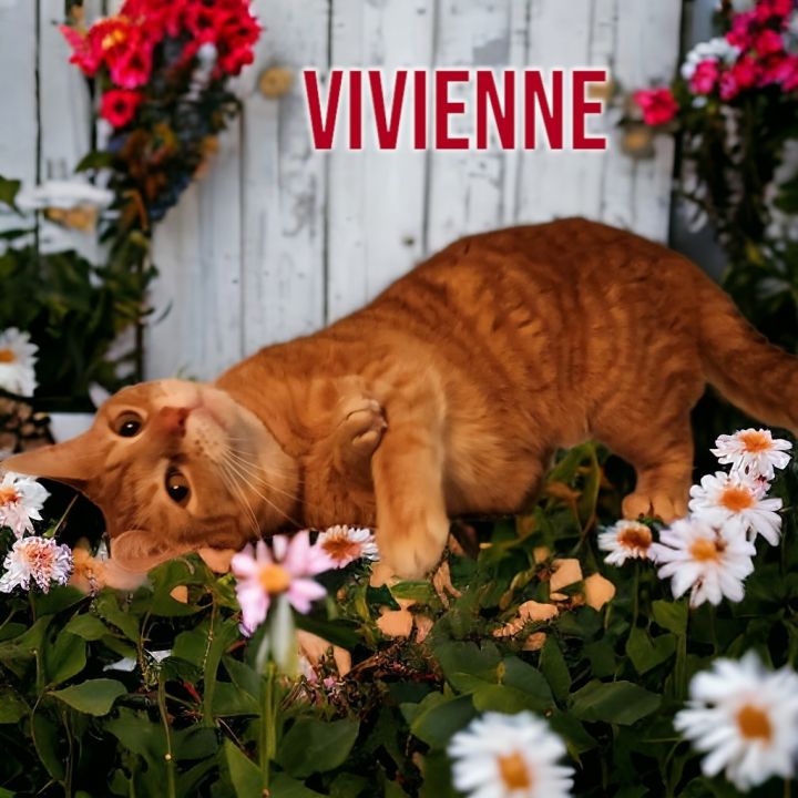 Vivienne (Westwood) 1