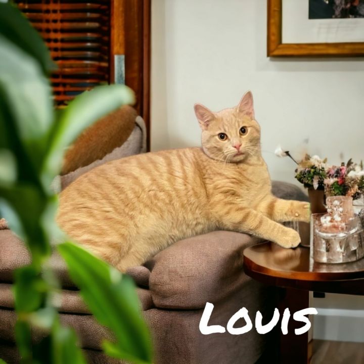 Louis (Vuitton) 2