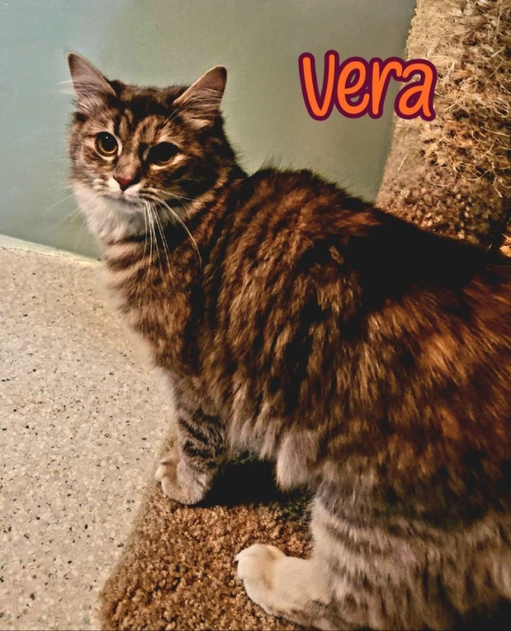Vera (Wang) 4