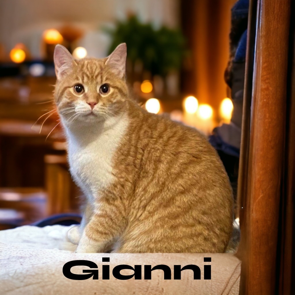 Gianni (Versace)