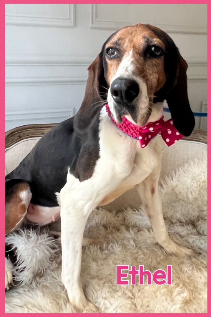 Foster Lady!! 4