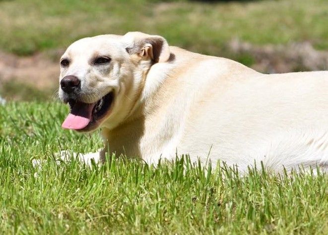 Maizey *HERE IN NH* 4