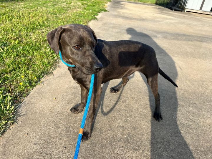 Foster Lucy! 5