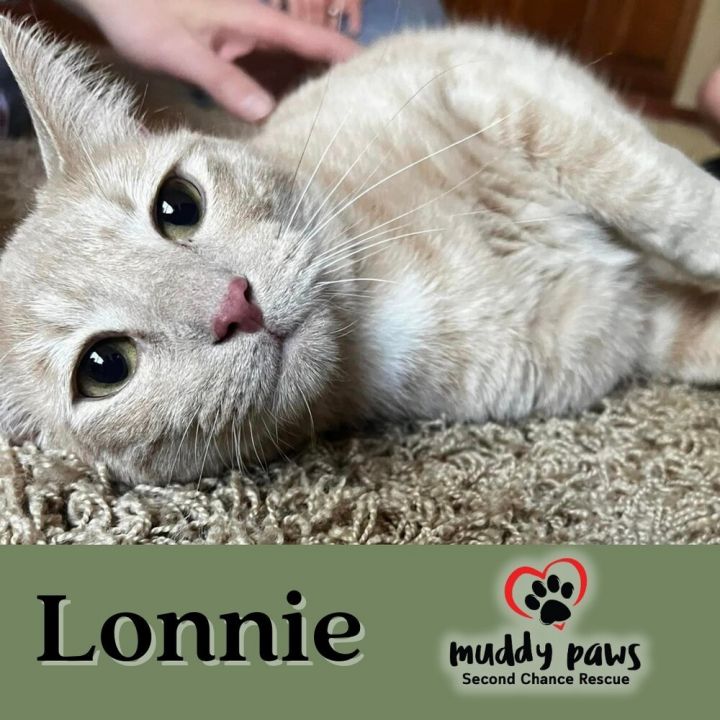 Lonnie 3